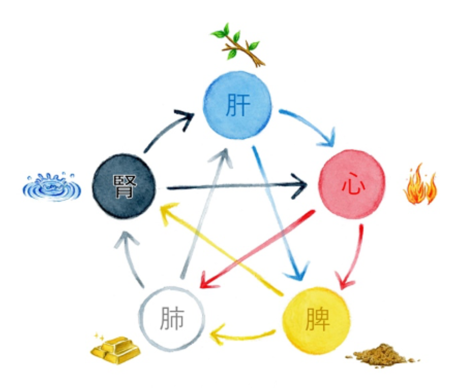 五行五臓
