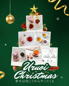 クリスマス潤いセット1